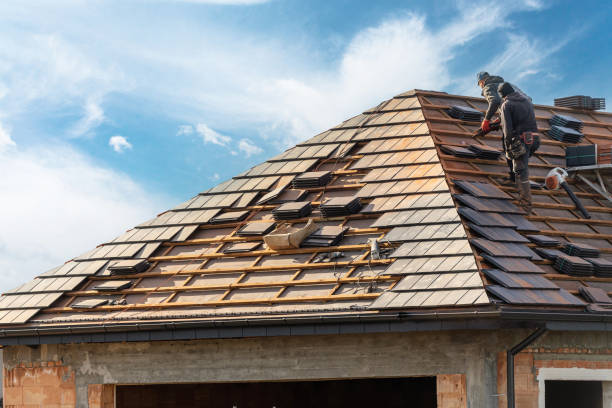 Best Gutter Installation and Repair  in Front Royal, VA